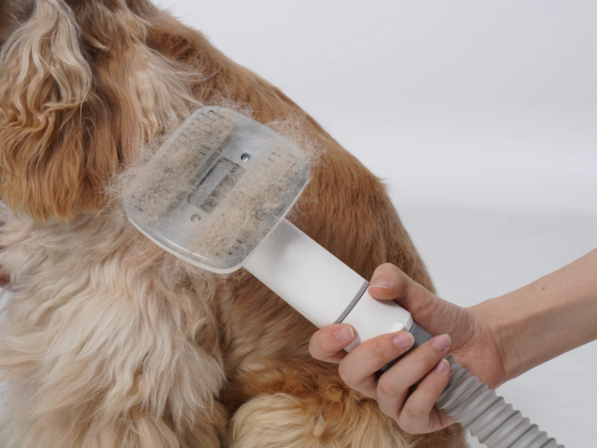 Langhaariger Hund wird gründlich gebürstet, um Knoten und lose Haare zu entfernen
